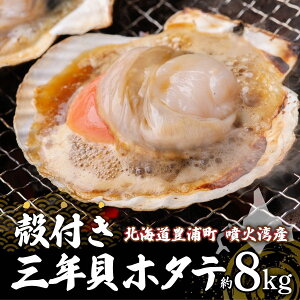 yӂ邳Ɣ[Łzys\zkC LY kt 3NL z^e Iׂ 3kg ` 8kg i2025N12{12܂ŏjy ӂ邳Ɣ[ lC  LO  L 