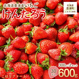 【ふるさと納税】【2026年5月順次発送】北海道産 豊浦いちご けんたろう 30玉入り 300g×2セット【 ふるさと納税 人気 おすすめ ランキング 果物 いちご苺 イチゴ 国産いちご 国産苺 けんたろう セット おいしい 美味しい 北海道 豊浦町 送料無料 】 TYUAG001