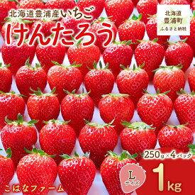 【ふるさと納税】【2026年5月順次発送】道内発送限定　北海道産 豊浦いちご けんたろう Lサイズ 250g×4パック入り【 ふるさと納税 人気 おすすめ ランキング 果物 いちご苺 イチゴ 国産いちご 国産苺 けんたろう セット 美味しい 北海道 豊浦町 送料無料 】 TYUAG002