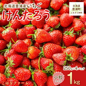 【ふるさと納税】【2026年5月順次発送】道内発送限定 北海道産 豊浦いちご けんたろう 小粒 250g×4パック入り【 ふるさと納税 人気 おすすめ ランキング 果物 いちご苺 イチゴ 国産いちご 国産苺 けんたろう セット 美味しい 北海道 豊浦町 送料無料 】 TYUAG003