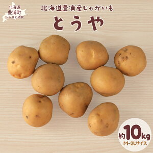yӂ邳Ɣ[Łzys\zkCLYYႪ Ƃ 10kg M-2LTCYi2025N9{菇j y ӂ邳Ɣ[ lC  LO    Ⴊ Ⴊ 