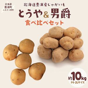 yӂ邳Ɣ[Łzys\zkCLYY Ⴊ Ƃ j Hה׃Zbg 10kg M-2LTCYi2025N9{菇j y ӂ邳Ɣ[ lC     Ⴊ 