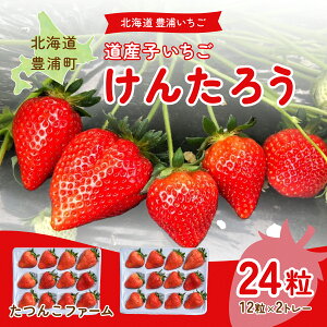 yӂ邳Ɣ[Łzy2026.4ȍ~oׁzkC 񂽂낤 30gȏ×12 2g[i24j kC LY yӂ邳Ɣ[ lC  LO ʕ  C`S Y 