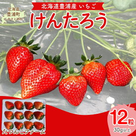【ふるさと納税】【2026年4月以降順次出荷】北海道いちご けんたろう 30g以上×12粒 トレー 北海道 豊浦町【 ふるさと納税 人気 おすすめ ランキング 果物 いちご苺 イチゴ 国産いちご 国産苺 けんたろう セット おいしい 美味しい 北海道 豊浦町 送料無料 】 TYUF007