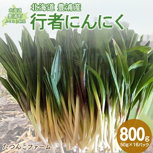 yӂ邳Ɣ[Łzy2026N2ȍ~oׁzkCLYY s҂ɂɂ 50g×16pbNy ӂ邳Ɣ[ lC  LO   ɂɂ s e   VN kC