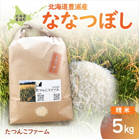 【ふるさと納税】 北海道豊浦産 令和7年産 お米 ななつぼし 5kg 【 ふるさと納税 人気 おすすめ ランキング 穀物 米 お米 こめ コメ ななつぼし 無洗米 ご飯 白飯 おいしい 美味しい 甘い 北海道産 北海道 豊浦町 送料無料 】 TYUF011
