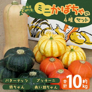 yӂ邳Ɣ[Łz y2025N8ȍ~z~jڂ̃Zbgi4j 10kg o^[ibc vb`[j kC LYY y ӂ邳Ɣ[ lC  LO ڂ Z o^[ ib