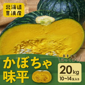 【ふるさと納税】北海道 豊浦産 かぼちゃ 味平 20kg 10～14玉入り 【 ふるさと納税 人気 おすすめ ランキング 野菜 その他野菜 かぼちゃ 南瓜 カボチャ 国産 味平 おいしい 美味しい 北海道 豊浦町 送料無料 】 TYUH005