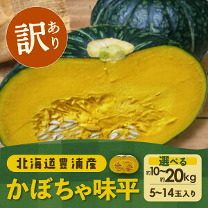 yӂ邳Ɣ[Łzy2025N9ȍ~zy󂠂zkC LYY ڂ  Iׂe 10kg`20kg y ӂ邳Ɣ[ lC  LO  ̑ ڂ Z J{` 