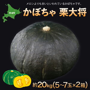 yӂ邳Ɣ[Łzys\zkC LY ڂ I叫 Iׂe 10kg ` 20kg i2025N9̎n菇j y ӂ邳Ɣ[ lC  LO  ̑ ڂ