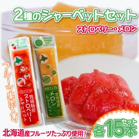 【ふるさと納税】北海道 豊浦町 いちご・メロンのシャーベット 15本×2種【 ふるさと納税 人気 おすすめ ランキング 果物 メロン めろん 果物 いちごイチゴ 苺 イチゴシャーベット メロンシャーベット 食べ比べ おいしい 美味しい 甘い 北海道 豊浦町 送料無料 】TYUN016