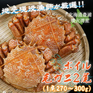 yӂ邳Ɣ[Łzy󂠂zyntIIIz{CEуKj2i1270`300gjkC LY Θp y ӂ邳Ɣ[ lC  LO  Jj I  т ъI 