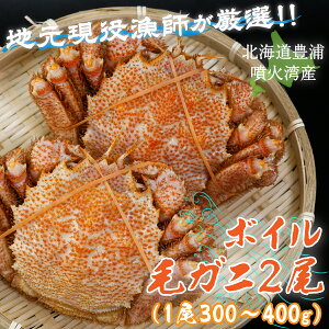yӂ邳Ɣ[ŁzyntIIIz{CEуKj2i1300`400gjkC LY Θp y ӂ邳Ɣ[ lC  LO  Jj I  т ъI e  