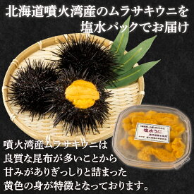 【ふるさと納税】【令和8年度発送先行予約】うに 塩水 ムラサキウニ 選べる数量 80g ～ 240g 北海道 豊浦 噴火湾 雲丹【配送不可地域：離島】【 ふるさと納税 人気 おすすめ 魚介類 うに ウニ 雲丹 むらさきうに ムラサキウニ おいしい 新鮮 北海道 豊浦町 送料無料 】