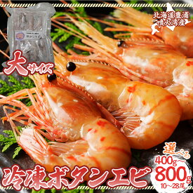 【ふるさと納税】冷凍ボタンエビ 大サイズ 400g～800g 北海道 噴火湾産 エビ えび 海老 海産物 冷凍 北海道 豊浦町 送料無料