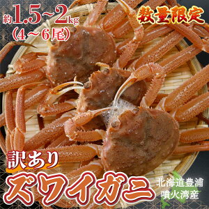 yӂ邳Ɣ[Łzyߘa8Nstzy󂠂z kC LY Θp YCKj 1.5`2kgi4`6j ʌyӂ邳Ɣ[ lC  LO  Jj  I YCKj 