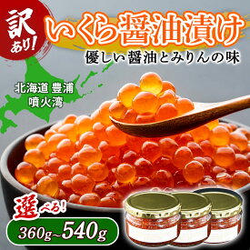 【ふるさと納税】【訳あり】いくら 醤油漬け 新鮮 鮭卵使用 手作り 選べる 360g ～ 540g いくら イクラ 鮭卵 海鮮 海産物 訳アリ 冷凍 北海道 豊浦町 送料無料