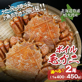 【ふるさと納税】【令和8年度発送先行予約】【地元現役漁師が厳選！！】ボイル・毛ガニ 選べる内容量 2尾（400g～450g前後） 【 ふるさと納税 人気 おすすめ ランキング 魚介類 カニ 蟹 かに 毛がに 毛蟹 大容量 お得 おいしい 北海道 豊浦町 送料無料 】