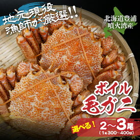【ふるさと納税】【2025年12月21日までの寄附で年内発送可】【地元現役漁師が厳選！！】ボイル・毛ガニ 選べる内容量 2尾～3尾（1尾300～400g） 【 ふるさと納税 人気 おすすめ ランキング 魚介類 カニ 蟹 かに 毛がに 毛蟹 大容量 お得 北海道 豊浦町 送料無料 】