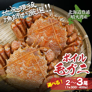 �y�ӂ邳�Ɣ[�Łz�y2025�N12��21���܂ł̊񕍂ŔN�������z�y�n���������t�����I�I�I�z�{�C���E�уK�j �I�ׂ���e�� 2���`3���i1��300�`400g�j �y �ӂ邳�Ɣ[�� �l�C �������� �����L���O ��