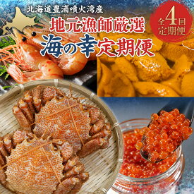 【ふるさと納税】 【定期便4回】 地元漁師厳選 噴火湾産 海の幸 （年4回コース） 北海道 豊浦 【 ふるさと納税 人気 おすすめ ランキング 魚介類 うに ウニ 雲丹 魚介類 ボタンエビ いくら 毛がに 毛蟹 毛ガニ セット 新鮮 定期便 北海道 豊浦町 送料無料 】 TYUR010