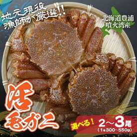 【ふるさと納税】【令和8年度発送先行予約】【地元現役漁師が厳選！！】活毛ガニ 選べる内容量 350g～550g前後（2尾～3尾） 【 ふるさと納税 人気 おすすめ ランキング かに 蟹 毛がに 毛蟹 厳選 噴火湾 大容量 おいしい 美味しい 新鮮 北海道 豊浦町 送料無料 】