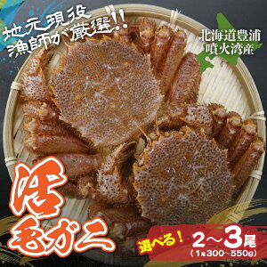 �y�ӂ邳�Ɣ[�Łz�y�ߘa8�N�x������s�\��z�y�n���������t�����I�I�I�z���уK�j �I�ׂ���e�� 350g�`550g�O��i2���`3���j �y �ӂ邳�Ɣ[�� �l�C �������� �����L���O ���� �I �т��� �ъI 