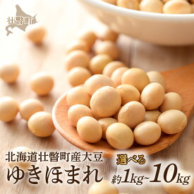 【ふるさと納税】大豆 ゆきほまれ 選べる1kg～10kg 北海道 壮瞥町産 【 ふるさと納税 人気 おすすめ ランキング 国産 安心 安全 煮豆 納豆 味噌 豆腐 豆乳 北海道 壮瞥町 送料無料 】