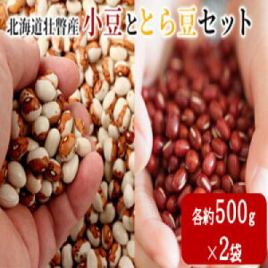yӂ邳Ɣ[Łzq2025N11{肨͂rkCsˎY@ƂƂ瓤Zbg@e500g×2܁y ӂ邳Ɣ[ lC  LO kC s     Ԕ 蕨