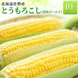 【ふるさと納税】<2026年8月上旬より順次お届け>北海道壮瞥産 とうもろこし(恵味ゴールド)約10kg 【 ふるさと納税 人気 おすすめ ランキング 北海道 壮瞥 先行予約 とうもろこし 贈り物