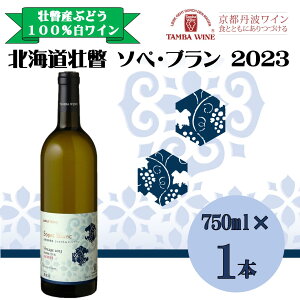 yӂ邳Ɣ[ŁzkCsˎY \yEu2023(hC) 750ml y ӂ邳Ɣ[ lC  LO kC s C Vhl smEu Ԃǂ    h 蕨 