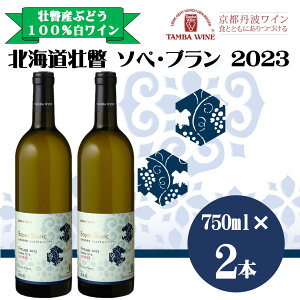 yӂ邳Ɣ[ŁzkCsˎY \yEu2023(hC) 750ml×2{ y ӂ邳Ɣ[ lC  LO kC s C Vhl smEu Ԃǂ    h 