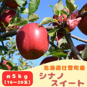 yӂ邳Ɣ[Łzt@[AOGCĝ񂲁uVimXC[gv 5kgi16`20ʁj ӂ邳Ɣ[ lC  LO kC s   5kg ӂ VimXC[g Â ʕ 