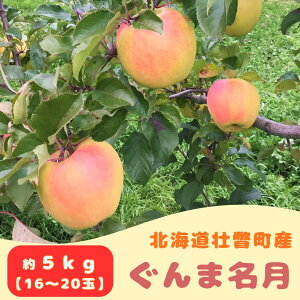 yӂ邳Ɣ[Łzt@[AOGCĝ񂲁uܖv 5kgi16`20ʁj ӂ邳Ɣ[ lC  LO kC s   5kg ܖ Â ʕ  