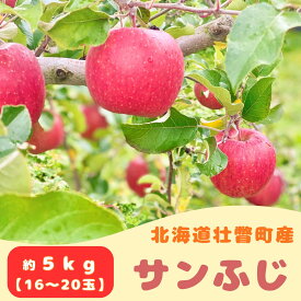 【ふるさと納税】ファームアグリエイトのりんご「サンふじ」約5kg（16～20玉） ふるさと納税 人気 おすすめ ランキング 北海道 壮瞥 りんご 蜜入り 5kg ふじ サンふじ 甘い 果物 おいしい 贈り物 贈物 贈答 ギフト 大容量 詰合せ セット 送料無料 SBTB015