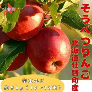 yӂ邳Ɣ[Łzt@[AOGCĝ񂲁uӂv 5kgi14`18ʁj ӂ邳Ɣ[ lC  LO kC s   5kg ӂ ӂ Â ʕ  