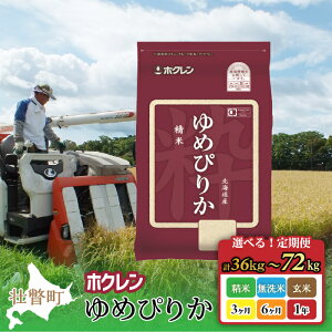 �y�ӂ邳�Ɣ[�Łz�y����ցz �ߘa7�N�Y�� �V�� �z�N������߂҂肩 ���� ������ ���� �I�ׂ� 6kg �` 20kg�i3�����`1�N�A�����͂��j �y �ӂ邳�Ɣ[�� �l�C �k�C���Y �s�� ���� �Â� ���蕨 ���� 