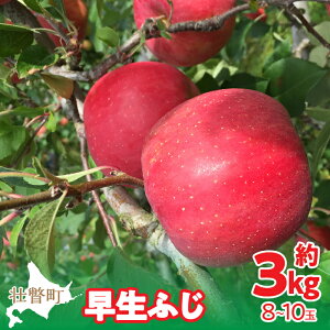 yӂ邳Ɣ[Łz2025N10{肨͂ kCs˒  i햼uӂv8`10ʖ3kg y ӂ邳Ɣ[ lC  LO  S ь ӂ ӂ  g