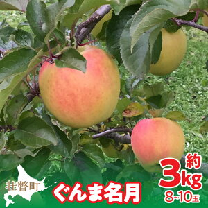 yӂ邳Ɣ[Łz2025N11{肨͂ kCs˒  uܖv8`10ʖ3kg ӂ邳Ɣ[ lC  LO  S ь ܖ Â  kC s