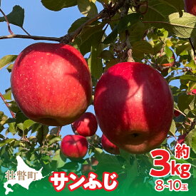 【ふるさと納税】＜2025年12月上旬よりお届け＞北海道壮瞥町　りんご　品種名「サンふじ」8〜10玉約3kg ふるさと納税 人気 おすすめ ランキング りんご リンゴ 林檎 サンふじ ふじ 甘い ジューシー 北海道 壮瞥町 送料無料 SBTF006