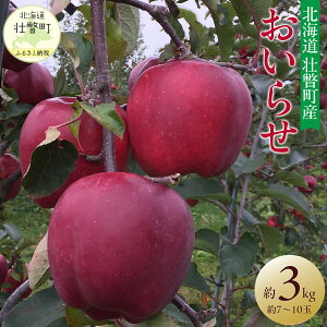 yӂ邳Ɣ[Łz2025N11{肨͂ kCs˒  i햼u点v7`10 3kg y ӂ邳Ɣ[ lC  LO  S ь 点 t[c 