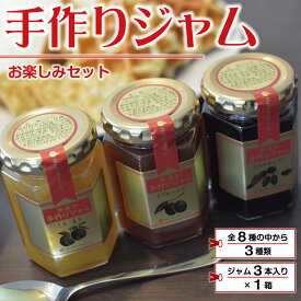 【ふるさと納税】手作りジャムお楽しみセット(3種計3本) 【 ふるさと納税 人気 おすすめ ランキング ジャム じゃむ フルーツ さくらんぼ ブルーベリー プルーン りんご いちご 北海道 壮瞥町 送料無料 】 SBTK001