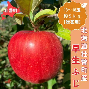 yӂ邳Ɣ[Łz10{肨͂kCsˎY ӂ 5kg(13`18)ypz y ӂ邳Ɣ[ lC  LO  S ь ӂ ӂ Â ʕ 