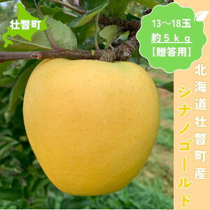yӂ邳Ɣ[Łz11{肨͂kCsˎY VimS[h 5kg(13`18)ypz y ӂ邳Ɣ[ lC  LO  S ь VimS[h 
