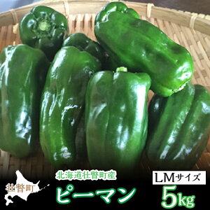 yӂ邳Ɣ[Łz2025N7{肨͂kCs˒Y s[} 5kg y ӂ邳Ɣ[ lC  LO s[} ҁ[܂   Hׂ₷  T_ o[xL