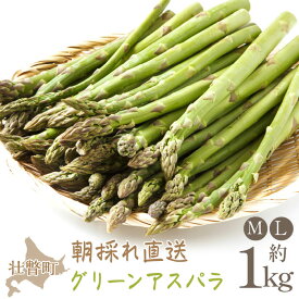 【ふるさと納税】朝採れ直送 グリーンアスパラ約1kg（M・L混合）＜2026年5月中旬頃よりお届け＞【アスパラガス アスパラ 野菜 春 春芽 新鮮 旬 とれたて 北海道 壮瞥町 クール便 送料無料 人気 おすすめ ランキング】 SBTM001