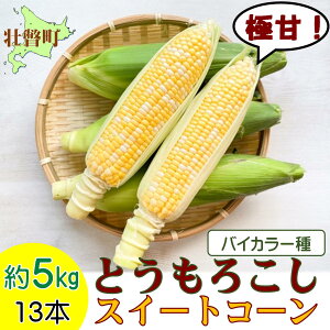 yӂ邳Ɣ[Łz2026N8{肨͂kCsˎY Ƃ낱iXC[gR[j13{ 5kg ӂ邳Ɣ[ lC  LO gERV Ƃ낱 XC[gR[ 