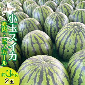yӂ邳Ɣ[Łz2026N8{菇͂kCsˎY ʂiԓEsmK[j2ʖ3kg XCJ@ӂ邳Ɣ[ lC  LO XCJ  Z Â  k