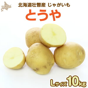 yӂ邳Ɣ[Łz2025N9{肨͂kCs˒YႪiƂjLTCY10kg@y ӂ邳Ɣ[ lC  LO    Ⴊ Ⴊ WKC |
