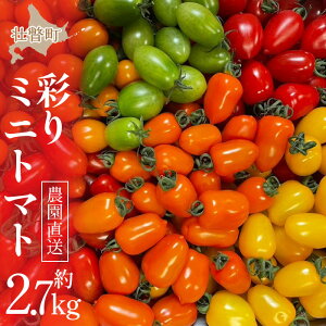 yӂ邳Ɣ[Łz2026N7{肨͂y_zkCsˎY ʂ~jg}g2.7kg y ӂ邳Ɣ[ lC  LO g}g Ƃ܂ ~jg}g   e 